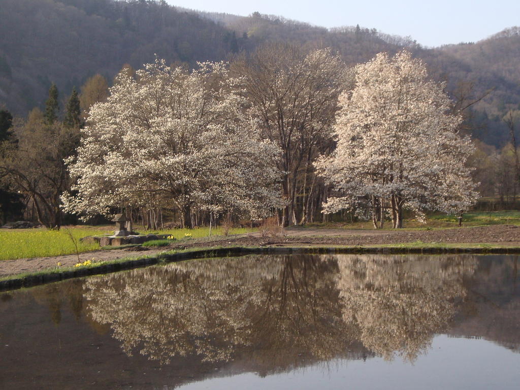 Hotel La Montagne Furuhata Hakuba Esterno foto